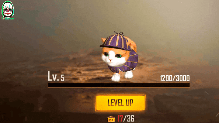 ¿MASCOTA QUE ES UN GATO?