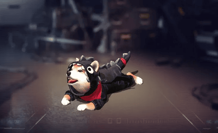 ¿MASCOTA QUE ES UN PERRO?